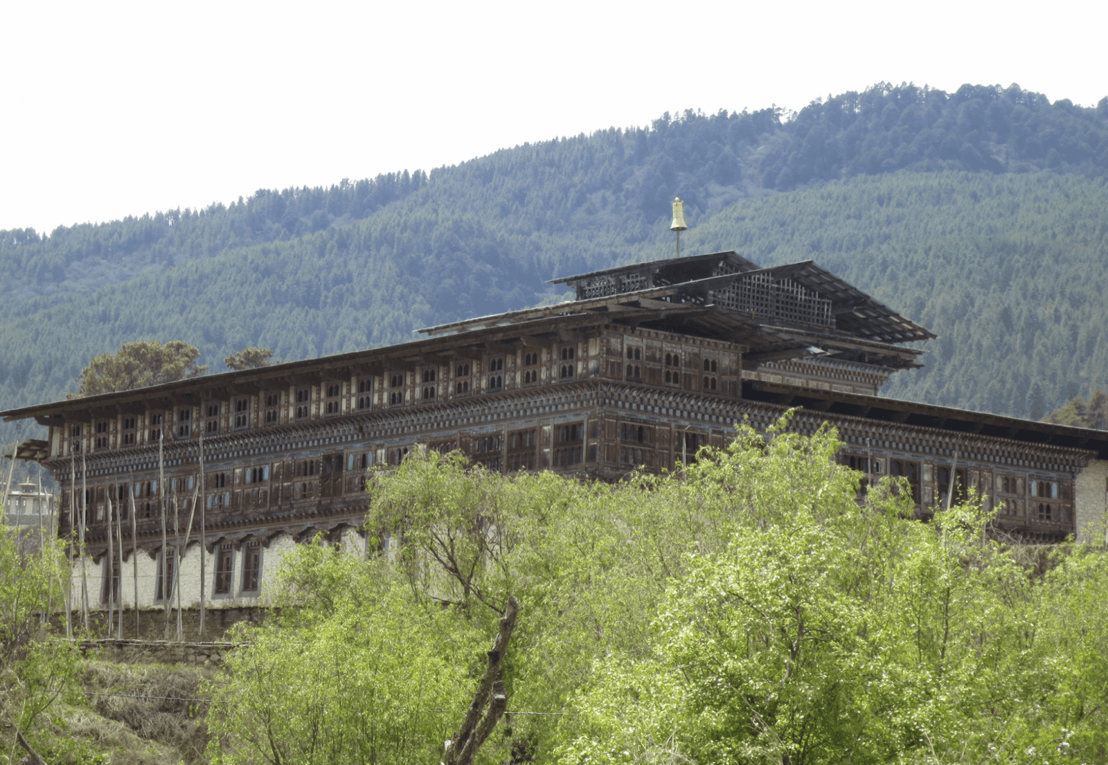 FROM BHUTAN TO EVERYWHERE